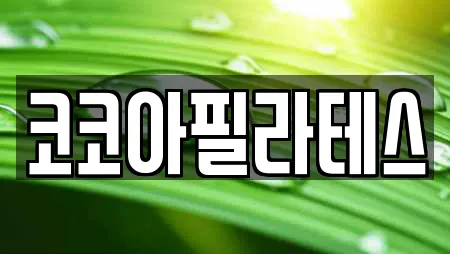 코코아필라테스