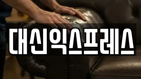 대신익스프레스