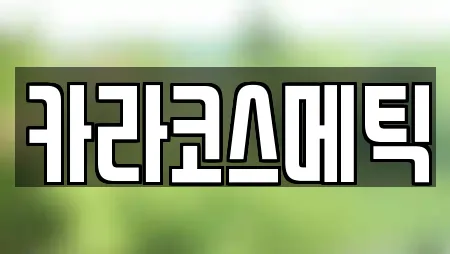 카라코스메틱