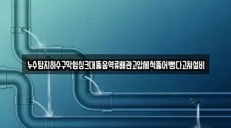 누수탐지하수구막힘싱크대뚫음역류배관고압세척뚫어뻥다고쳐설비