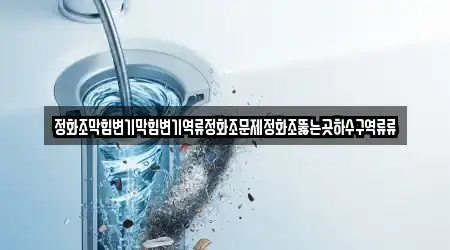 정화조막힘변기막힘변기역류정화조문제정화조뚫는곳하수구역류류