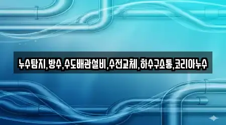 누수탐지,방수,수도배관설비,수전교체,하수구소통,코리아누수