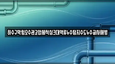 하수구막힘오수관고압세척싱크대역류누수탐지수도누수공사해빙