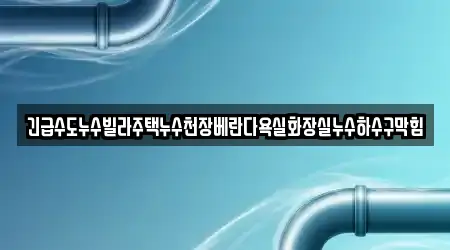 긴급수도누수빌라주택누수천장베란다욕실화장실누수하수구막힘