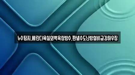 누수탐지,베란다욕실외벽옥상방수,판넬수도난방설비금강하우징