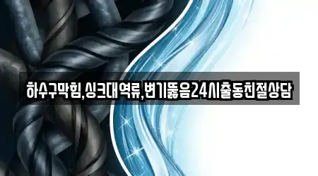 하수구막힘,싱크대역류,변기뚫음24시출동친절상담