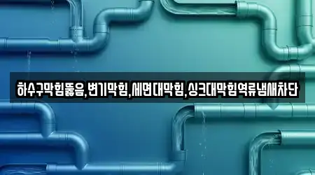 하수구막힘뚫음,변기막힘,세면대막힘,싱크대막힘역류냄새차단