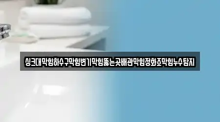 싱크대막힘하수구막힘변기막힘뚫는곳배관막힘정화조막힘누수탐지