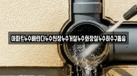 아파트누수배란다누수천장누수거실누수화장실누수하수구뚫음
