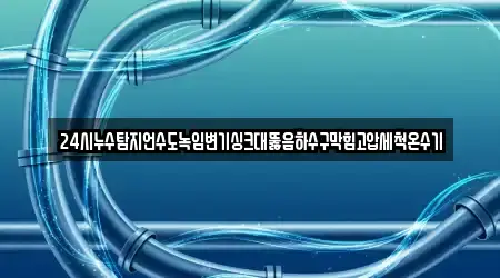 24시누수탐지언수도녹임변기싱크대뚫음하수구막힘고압세척온수기
