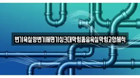 변기욕실양변기세면기싱크대막힘뚫음욕실막힘고압세척
