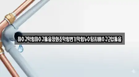 하수구막힘하수구뚫음정화조막힘변기막힘누수탐지배수구고압뚫음