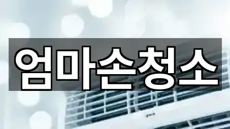 대전광역시 서구 내동 청소 주소만 모아보기 5건