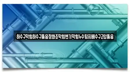 하수구막힘하수구뚫음정화조막힘변기막힘누수탐지배수구고압뚫음