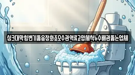 싱크대막힘변기뚫음정화조오수관역류고압세척누수배관뚫는업체