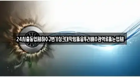 24시출동업체하수구변기싱크대막힘뚫음뚜러배수관역류뚫는업체