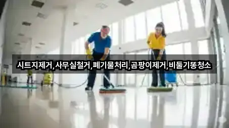 시트지제거,사무실철거,폐기물처리,곰팡이제거,비둘기똥청소