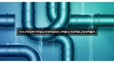 하수구막힘변기막힘싱크대막힘하수구역류싱크대역류고압세척뚫어