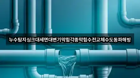 누수탐지싱크대세면대변기막힘각종막힘수전교체수도동파해빙