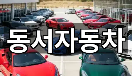 경산시 신천동 중고차 2곳 지도 총망라