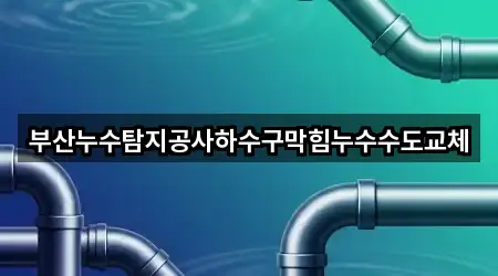 부산누수탐지공사하수구막힘누수수도교체