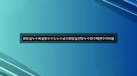 화장실누수욕실방수수도누수공사화장실천장누수방수배관수리비용