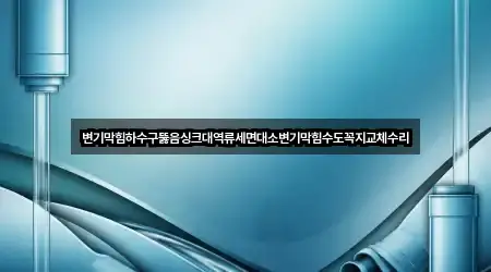 변기막힘하수구뚫음싱크대역류세면대소변기막힘수도꼭지교체수리