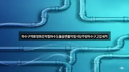 하수구역류정화조막힘하수도뚫음맨홀막힘식당주방하수구고압세척