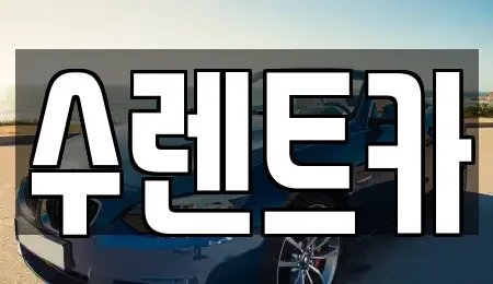 강원특별자치도 원주시 판부면 렌트카 전문 수렌트카