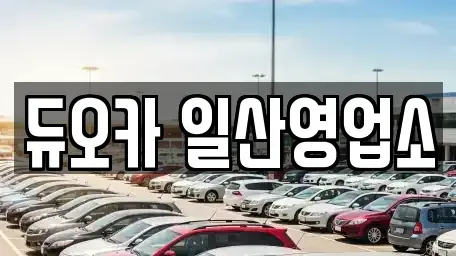 경기 고양시 덕양구 내곡동 단기렌트카 전문 듀오카 일산영업소