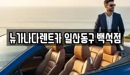 경기 고양시 덕양구 내곡동 렌트카 전문 뉴가나다렌트카 일산동구 백석점