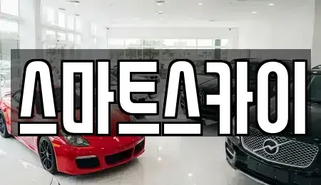 경기 고양시 덕양구 내곡동 렌트카 전문 스마트스카이