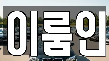 경기 고양시 덕양구 내곡동 장기렌트카 전문 이룸인