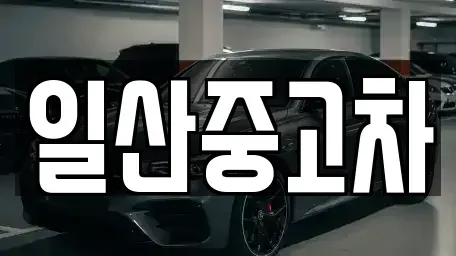 경기 고양시 덕양구 내곡동 중고차 전문 일산중고차