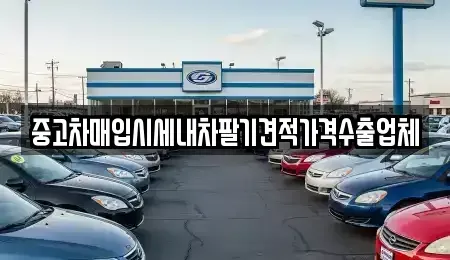 경기 고양시 덕양구 지축동 중고차매입 전문 중고차매입시세내차팔기견적가격수출업체