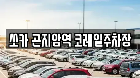 경기 광주시 곤지암읍 렌트카 전문 쏘카 곤지암역 코레일주차장