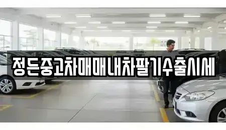 경기 김포시 사우동 중고차 전문 정든중고차매매내차팔기수출시세