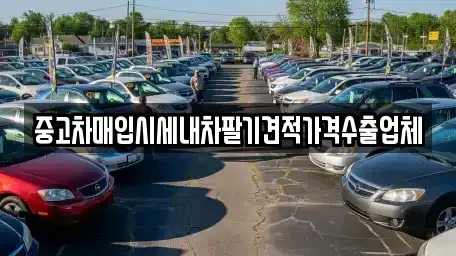 경기 김포시 사우동 중고차매입 전문 중고차매입시세내차팔기견적가격수출업체