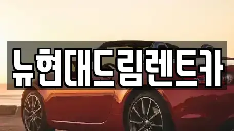 경기 시흥시 화정동 렌트카 전문 뉴현대드림렌트카
