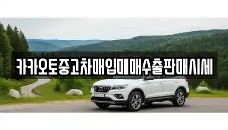 경기 시흥시 화정동 중고차 전문 카카오토중고차매입매매수출판매시세