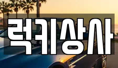 경기 화성시 남양읍 중고차 전문 럭키상사