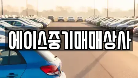 경기 화성시 남양읍 중고차 전문 에이스중기매매상사