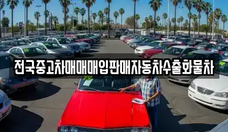 경기 화성시 남양읍 중고차매입 전문 전국중고차매매매입판매자동차수출화물차