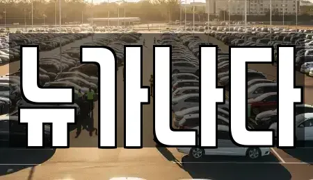 경기도 고양시 일산서구 가좌동 렌트카 전문 뉴가나다