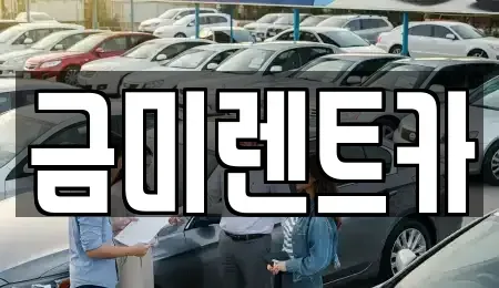 경기도 부천시 소사구 옥길동 렌트카 전문 금미렌트카