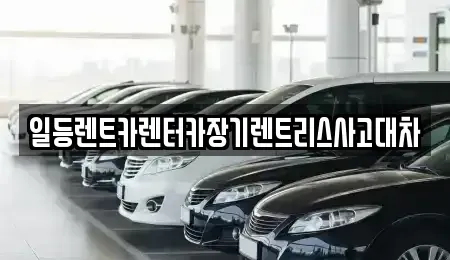 경기도 부천시 소사구 옥길동 장기렌트카 전문 일등렌트카렌터카장기렌트리스사고대차