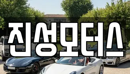 경기도 부천시 소사구 옥길동 중고차매매 전문 진성모터스