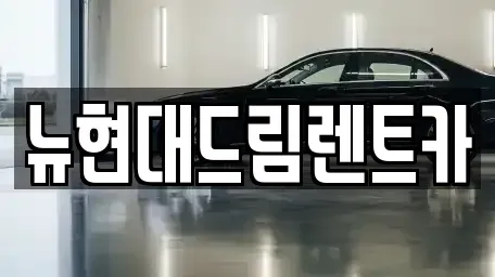 경기도 시흥시 하중동 렌트카 전문 뉴현대드림렌트카