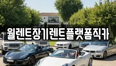 경기도 시흥시 하중동 장기렌트카 전문 월렌트장기렌트플랫폼직카