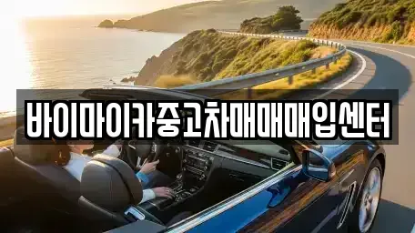 경기도 시흥시 하중동 중고차 전문 바이마이카중고차매매매입센터